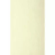 Zalakerámia Selma Avorio falburkoló 25x40 cm (2012)