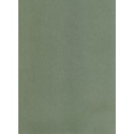 Falpanel SPC 1200x2800x3 mm