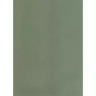 Falpanel SPC 1200x2800x3 mm