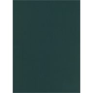 Falpanel SPC 1200x2800x3 mm