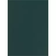 Falpanel SPC 1200x2800x3 mm